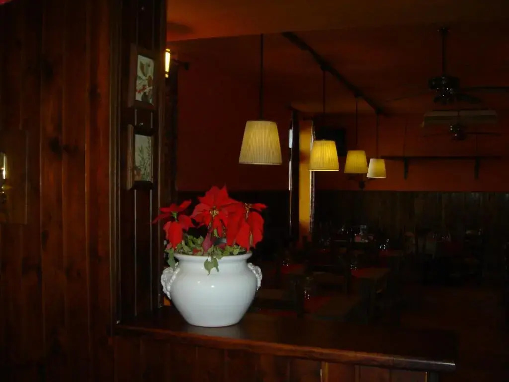 Samarcanda Hotel & Parking di Parmigiani Silvia