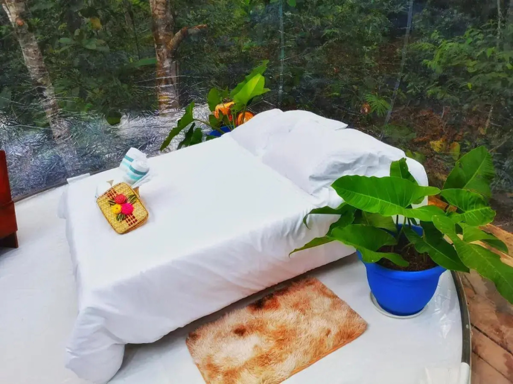 Glamping Amazonas