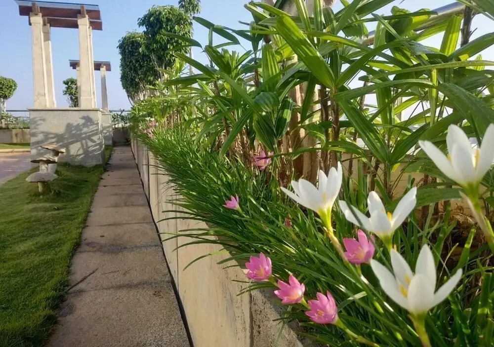 Grand Gardenia