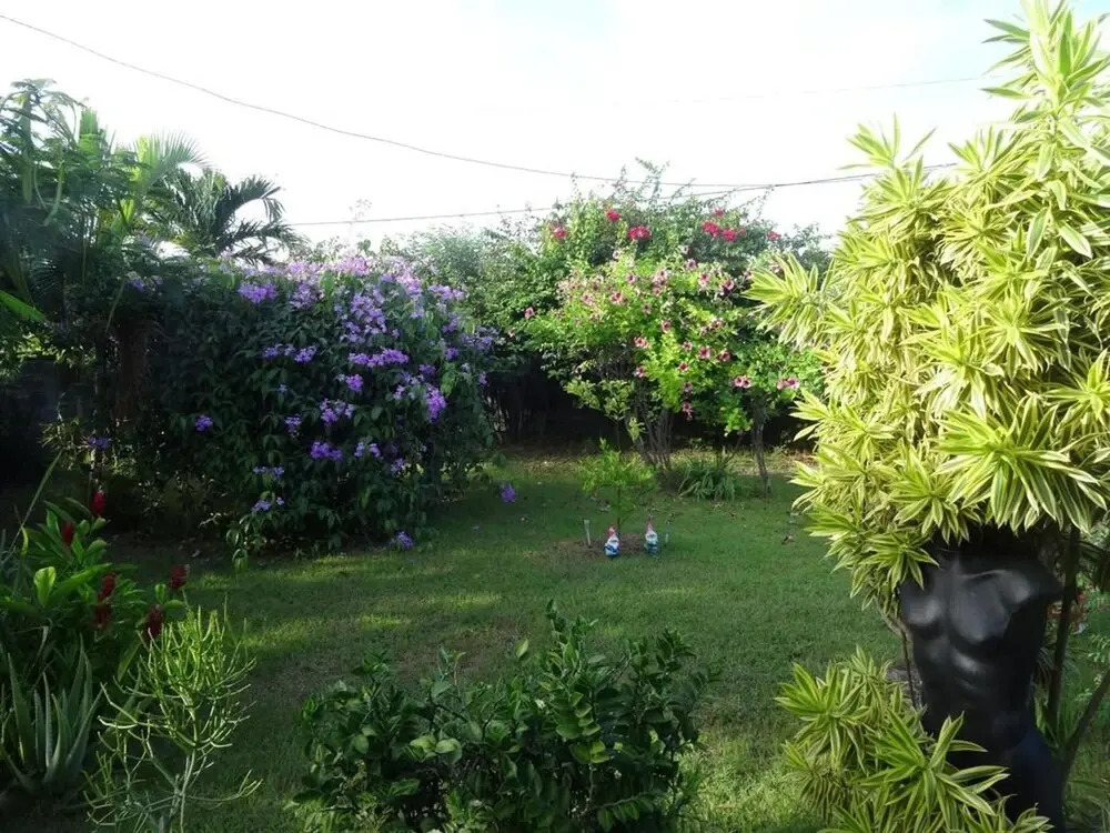Bungalow With one Bedroom in Le Moule, With Pool Access, Enclosed Garden and Wifi - 7 km From the Beach
