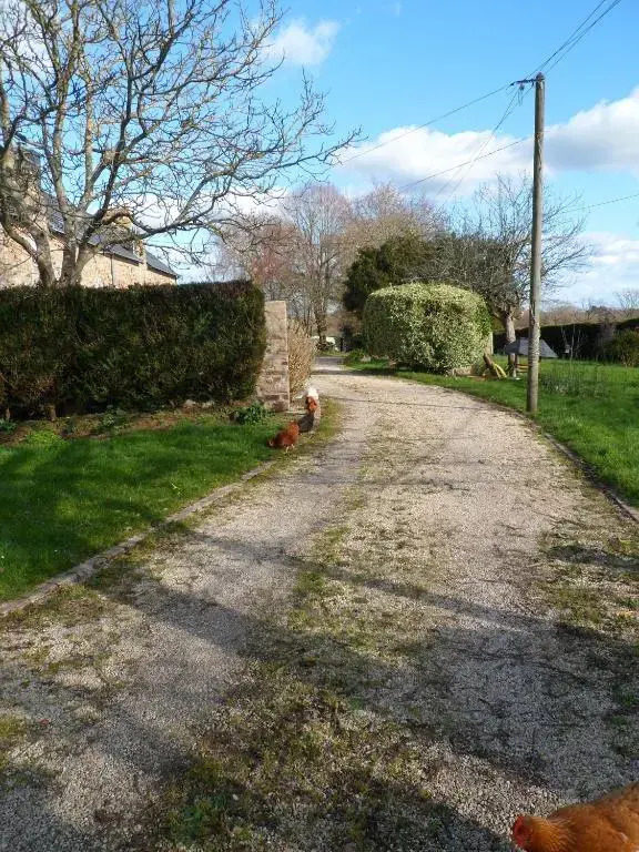 Farmhouse in an amazing private park