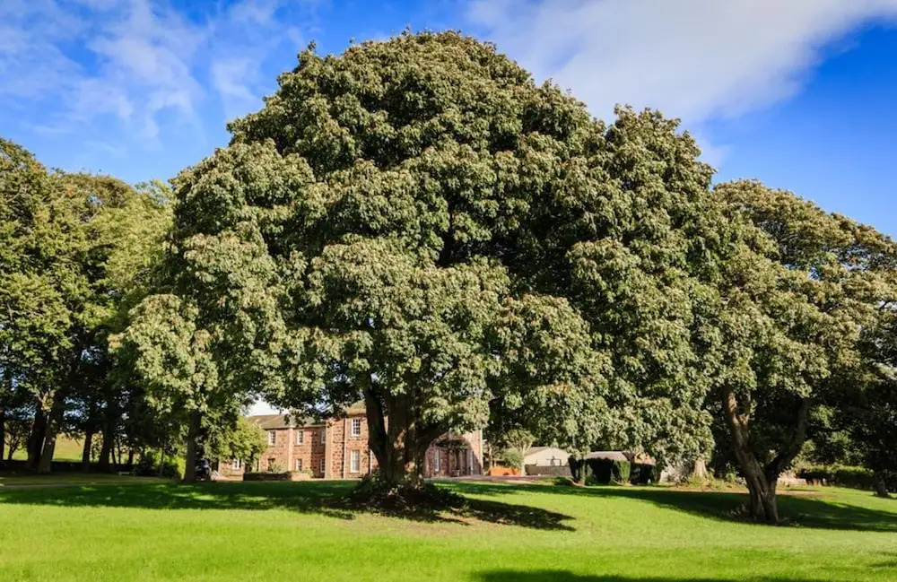 Lunan House