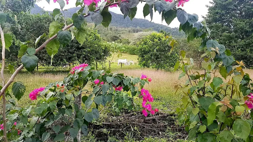 Tío Felix Eco Lodge