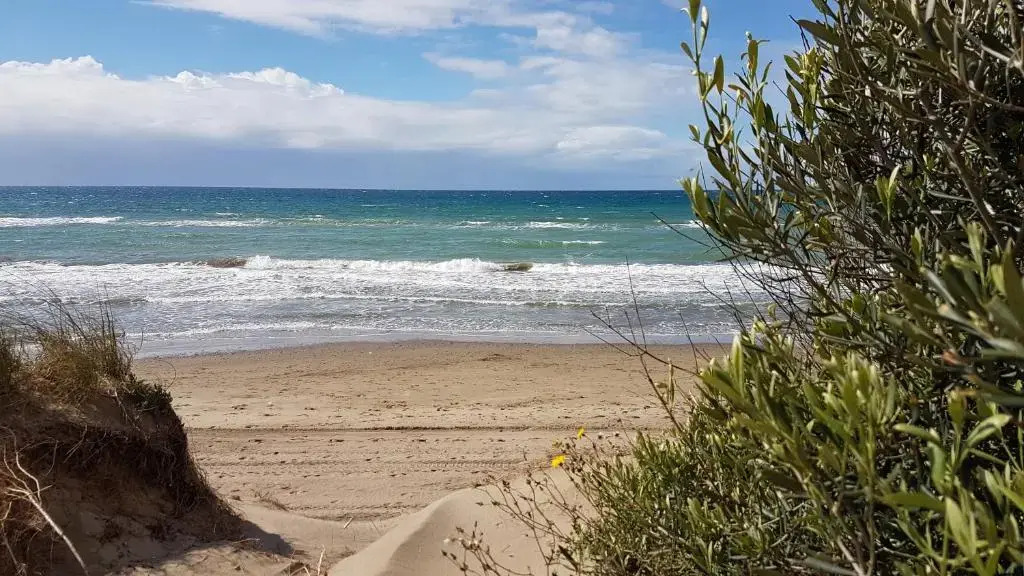 Marbella Beach, apartamento para 2 en Alvarito Playa, playa del Alicate