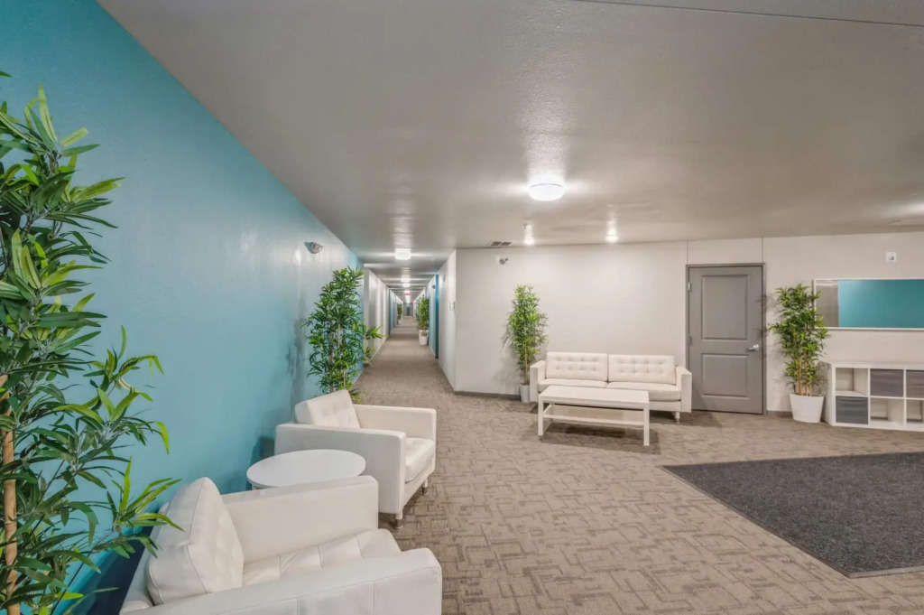 Minneapolis | Campus Essential 1BD/1BA U of M Apartment