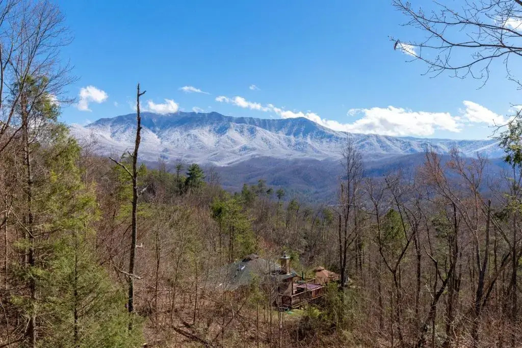 Smoky Mountain Dreams, 3 Bedrooms, Pool Access, Hot Tub, WiFi, Sleeps 7