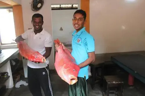 Star Rest Beach Hotel