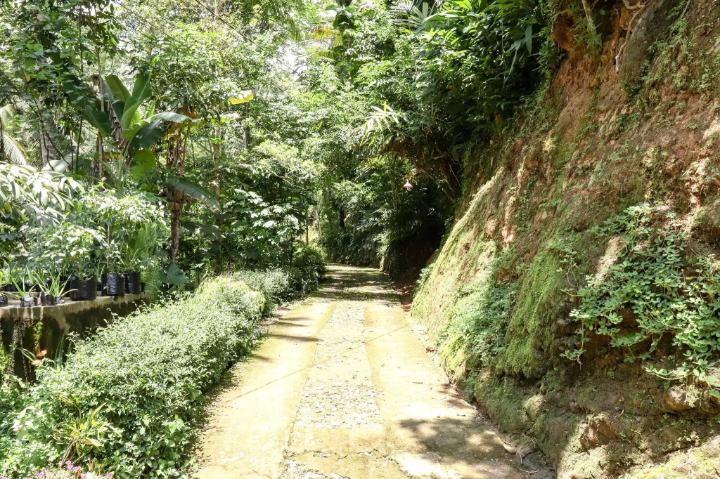 Homestay Yoto