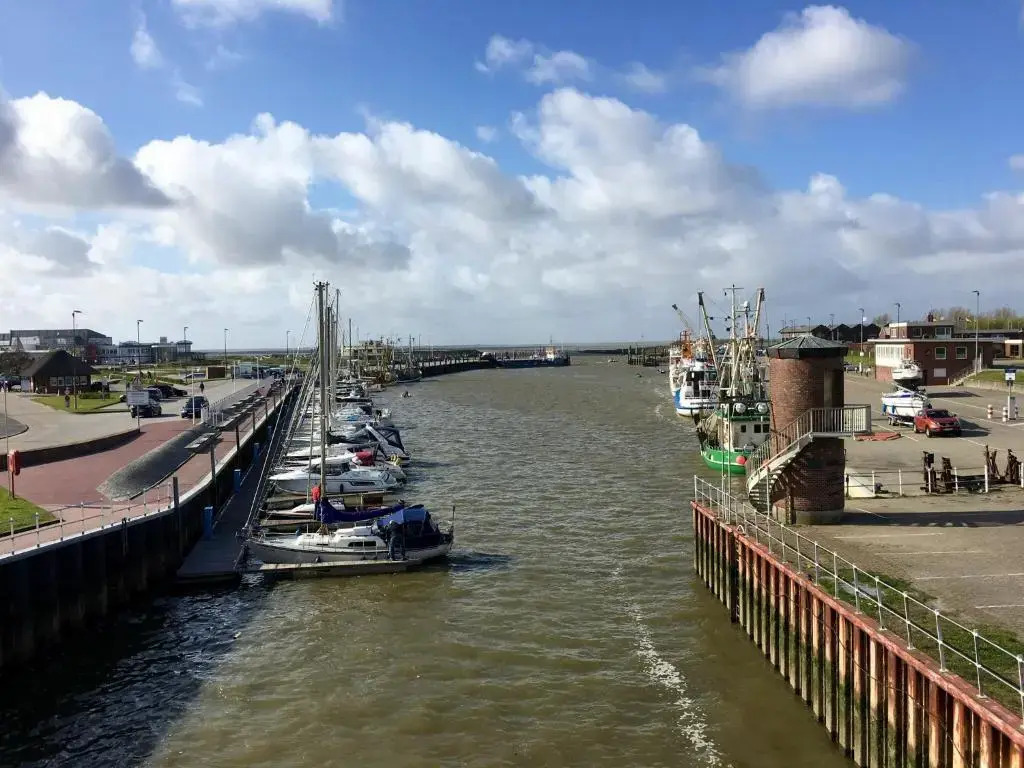 Verschmitzt am Meer
