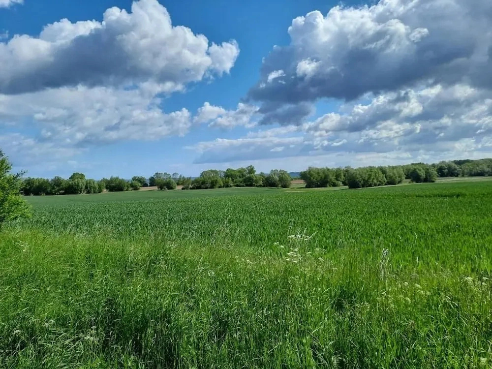 Pension Landidylle