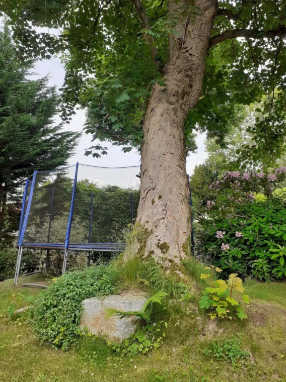 Manoir de lAs de Trèfle