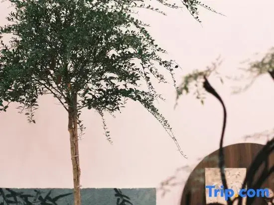 "Ru Yuan Xiao Zhu" B&B in Yunhe Terrace.