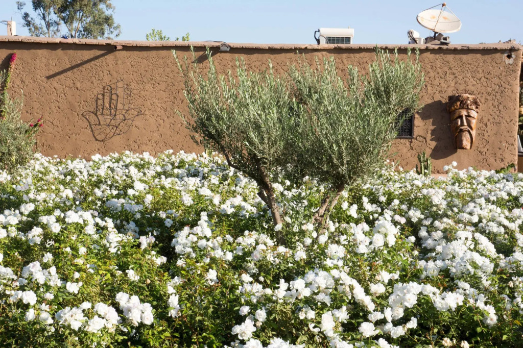 Hotel & Spa La Ferme El Dar