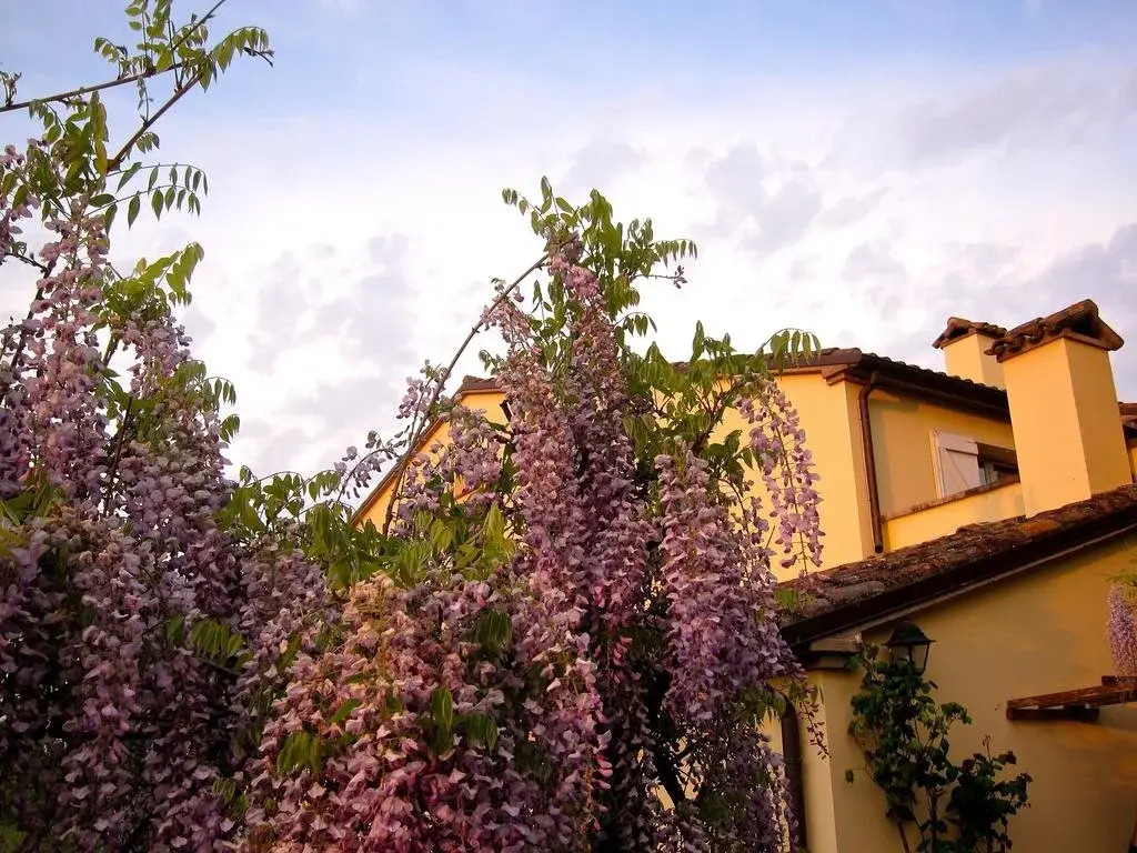 Casa del Tesoro