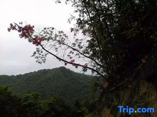 Tiantai Jiahong Homestay