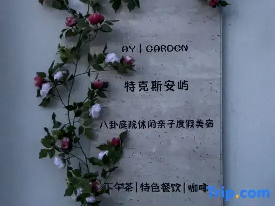 A.Y | Tekes An Yu · Bagua Courtyard Leisure and Vacation Parent-Child Garden Homestay