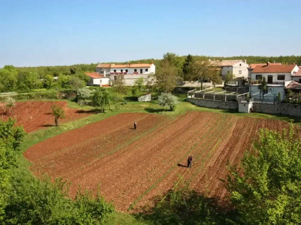 Stone Holiday Home in Peresiji With Pool