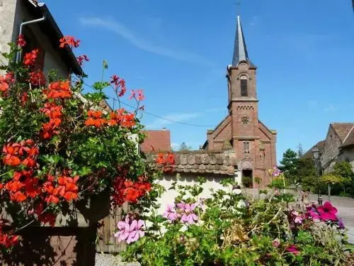 Le Grenier Des Arômes Au Domaine Wittmann