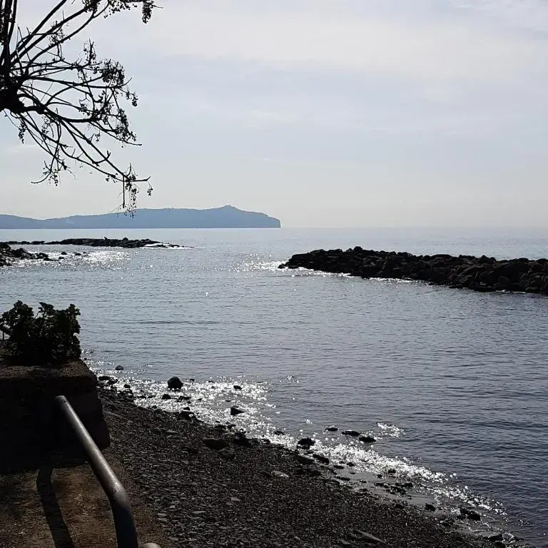 Petra Marina Home