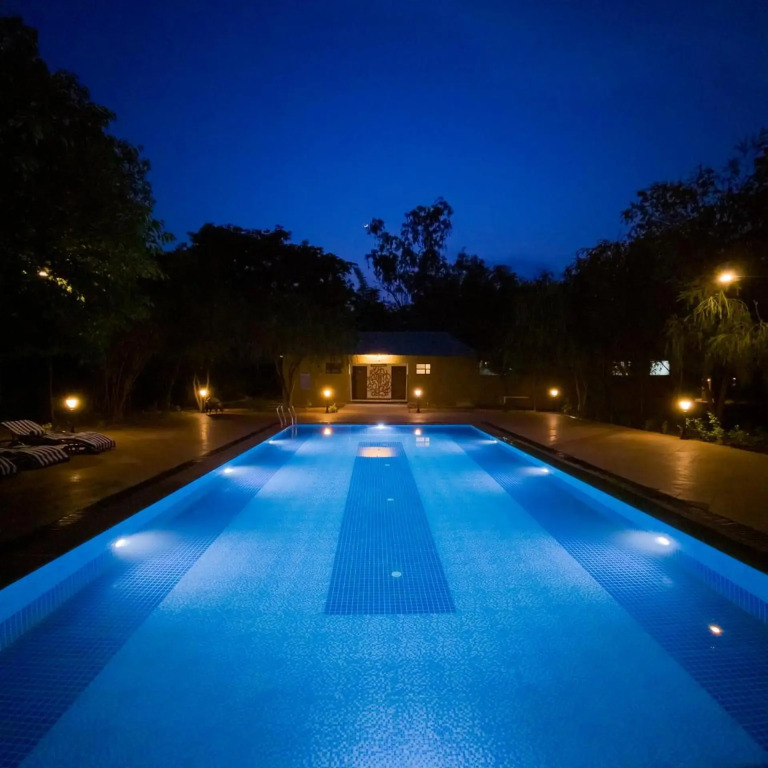 Tathastu Bandhavgarh