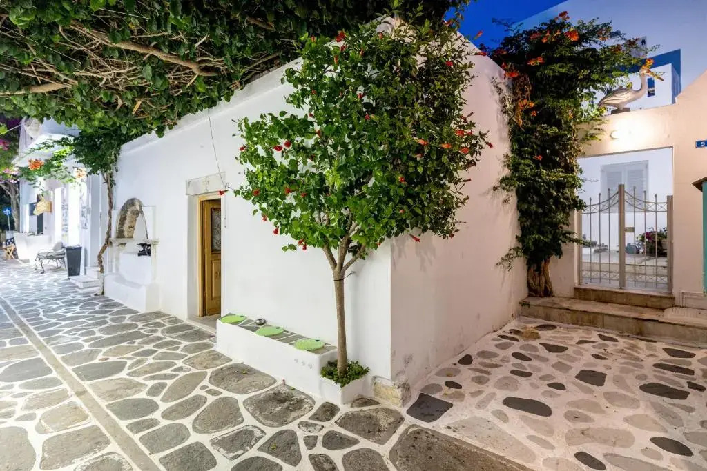 Pelican Paros