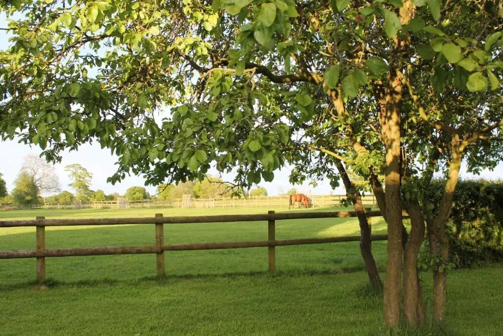 The Jockey Room Hideaway