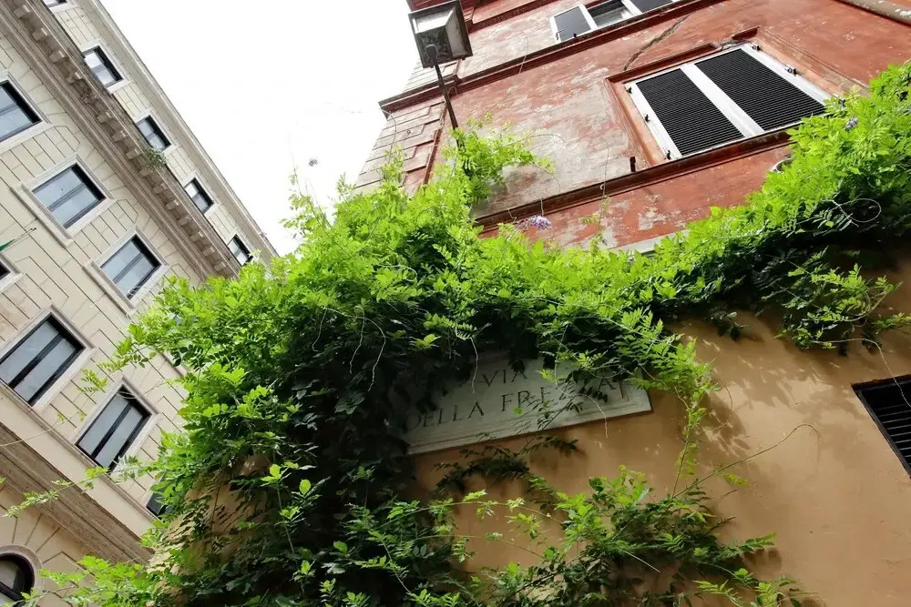 Corso Loft