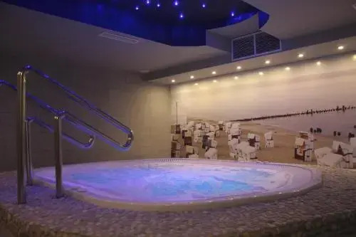 Villa Park Wisełka Spa & Wellness