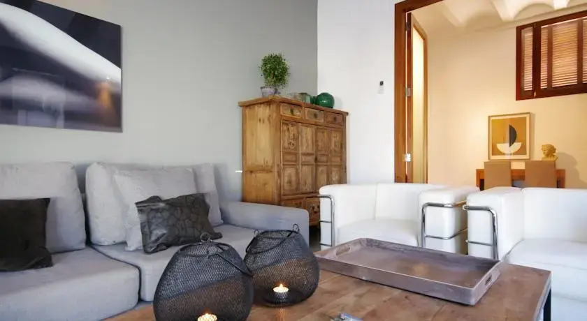 Valencia Luxury Ciutat Vella Penthouse