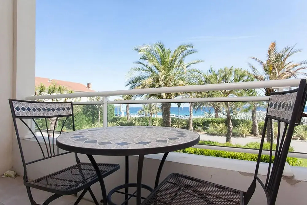 Royal Palm 127