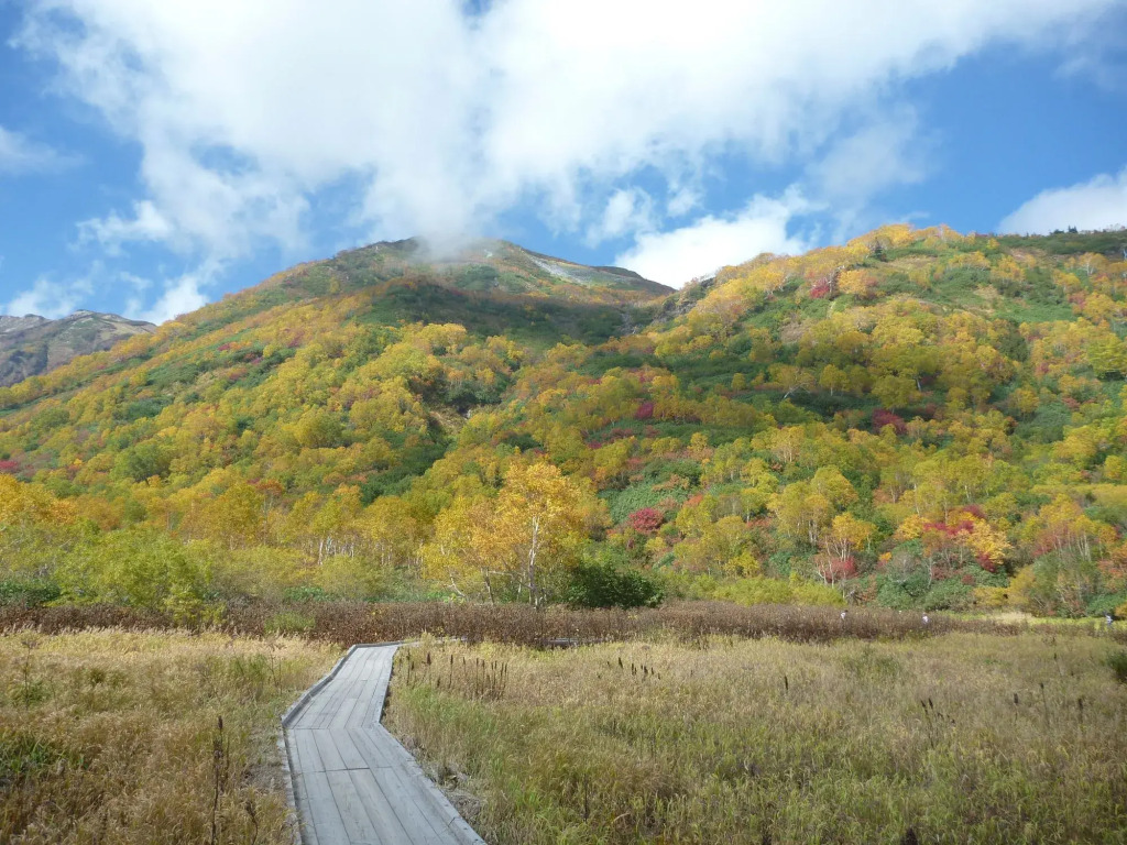Ks House Hakuba Alps - Travelers Hostel