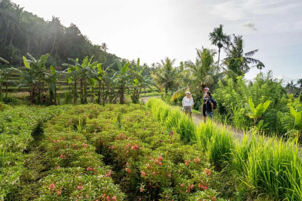 Kaura Manggis, Bali - Luxury Tent