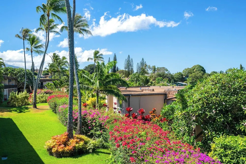 Walk to Napili Bay Beach! Mtn-view Lahaina Condo