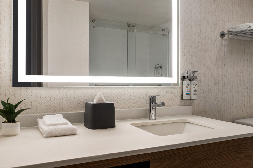 Holiday Inn Nashville Downtown - Stadium by IHG