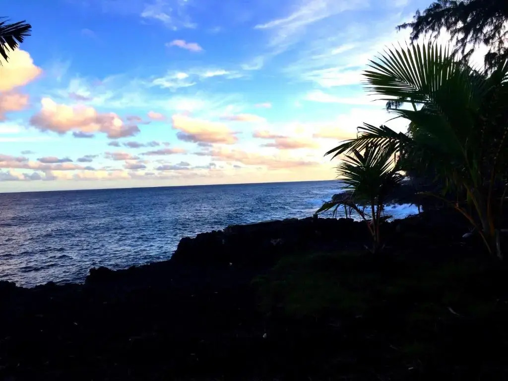 Hale “Hā Hā”