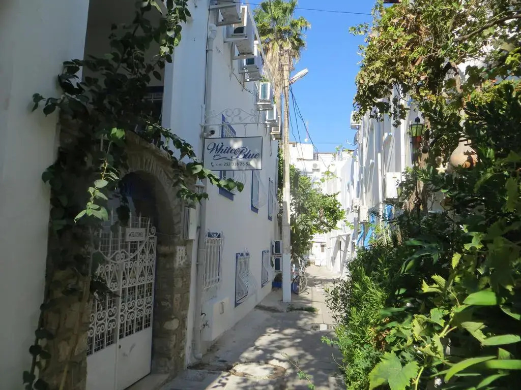 White and Blue Bodrum