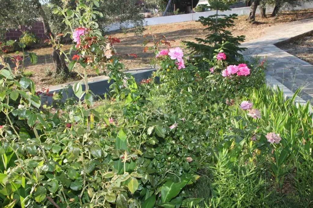 Armonia Guesthouse