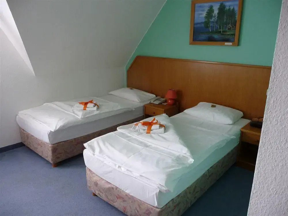 Hotel Mecklenburger Mühle Garni