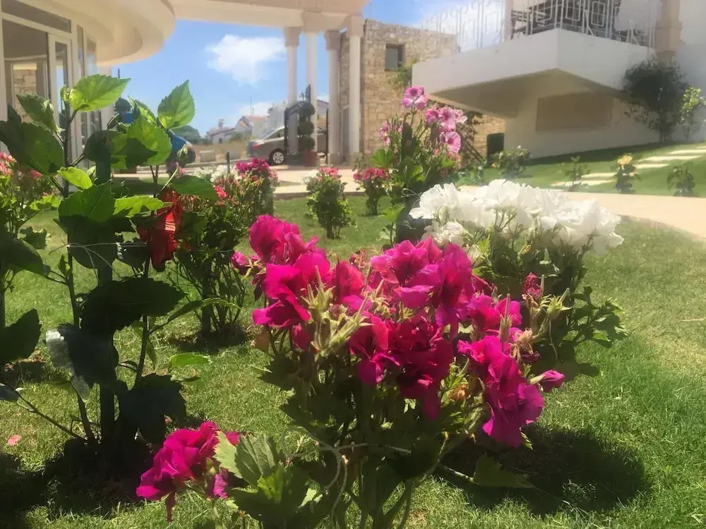 Aria Boutique Hotels