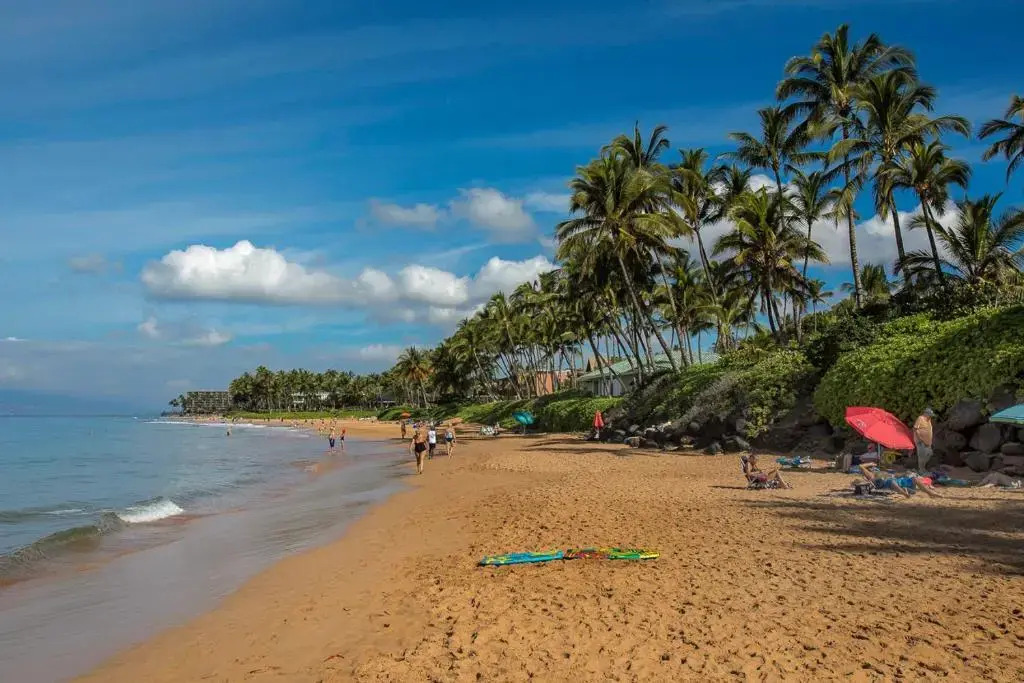 Wailea Ekolu #607