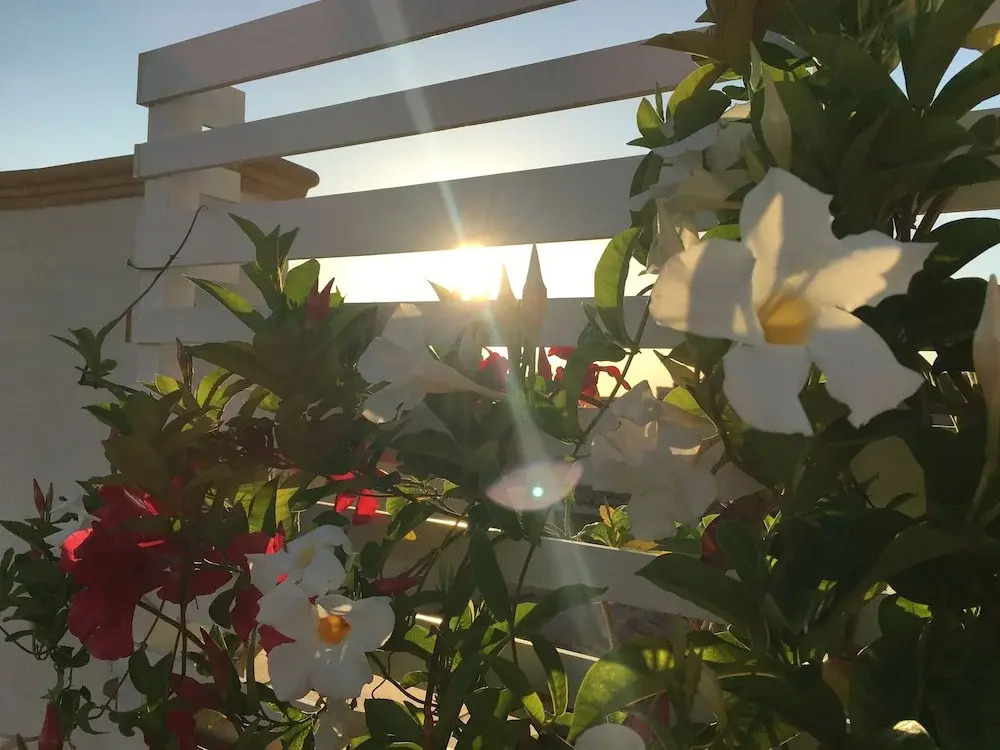 Olivella B&B