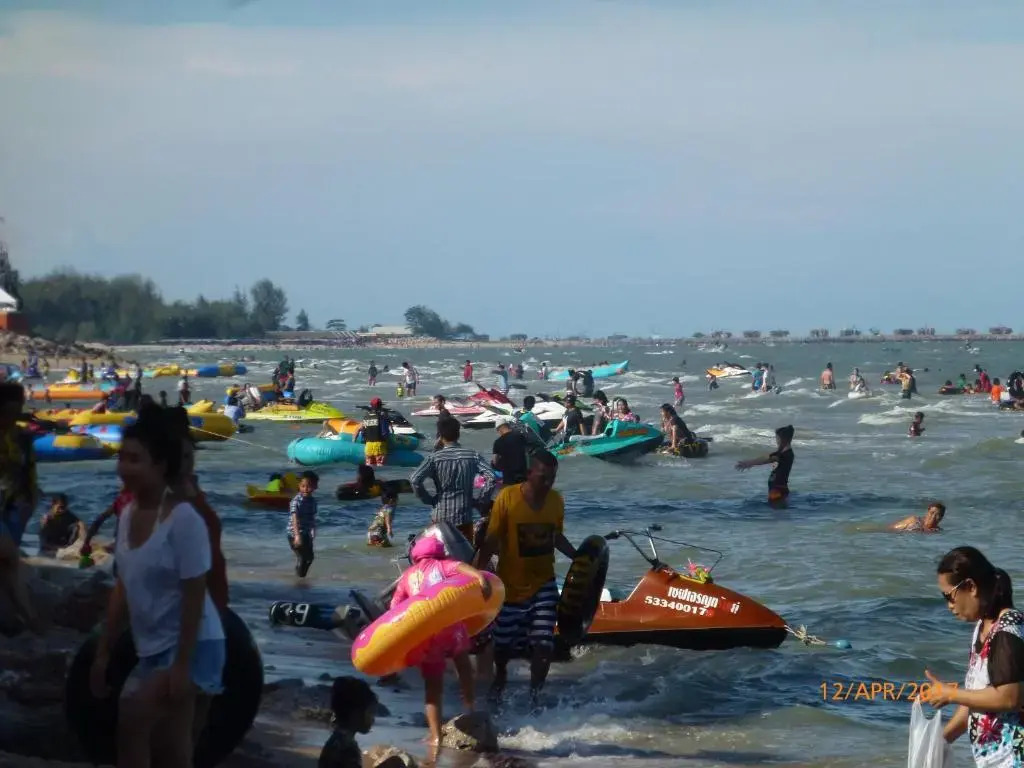 Thai Paradise South 255/2