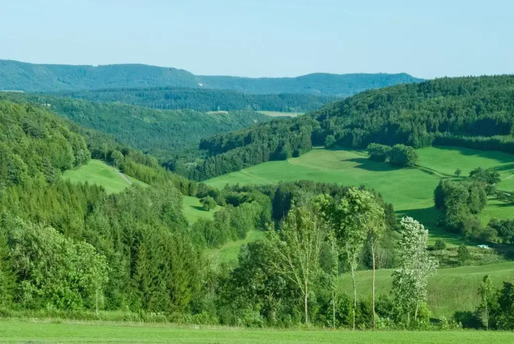 Gasthaus Kranz