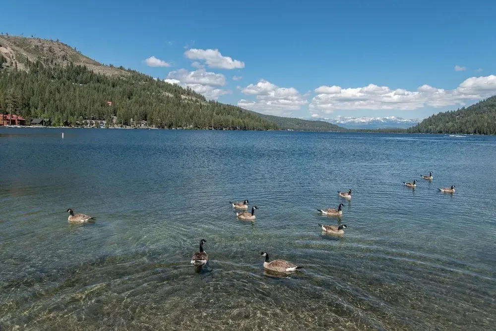 New Listing! Large Donner Lake W/ Water View 4 Bedroom Home