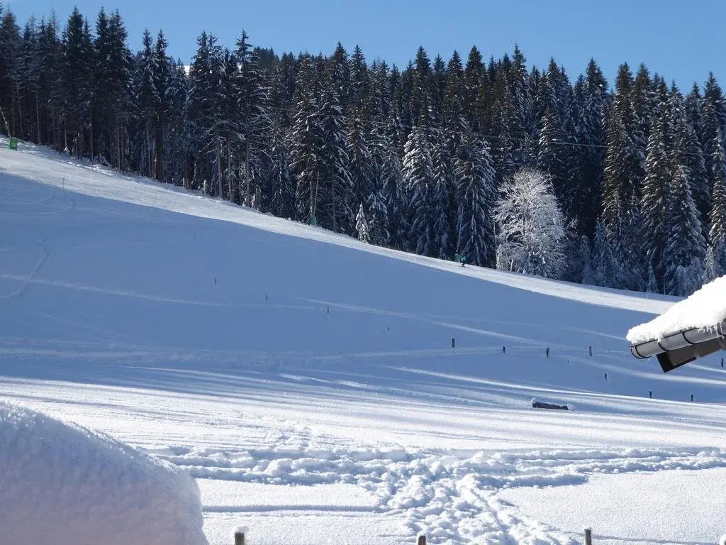 Birnhornblick
