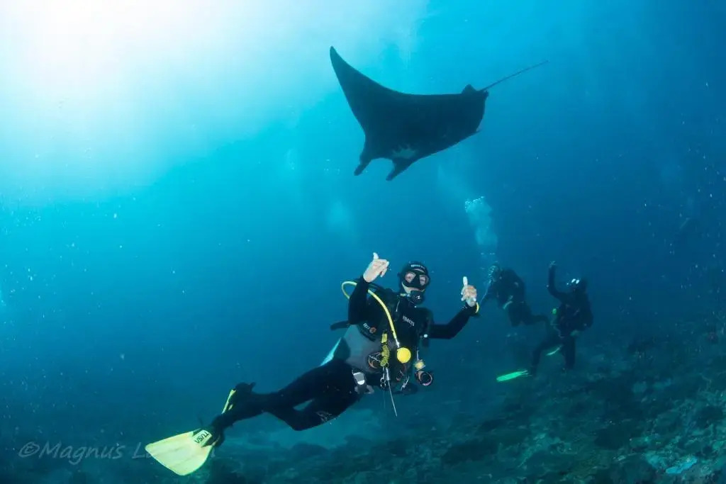 Bali Dive Resort Amed