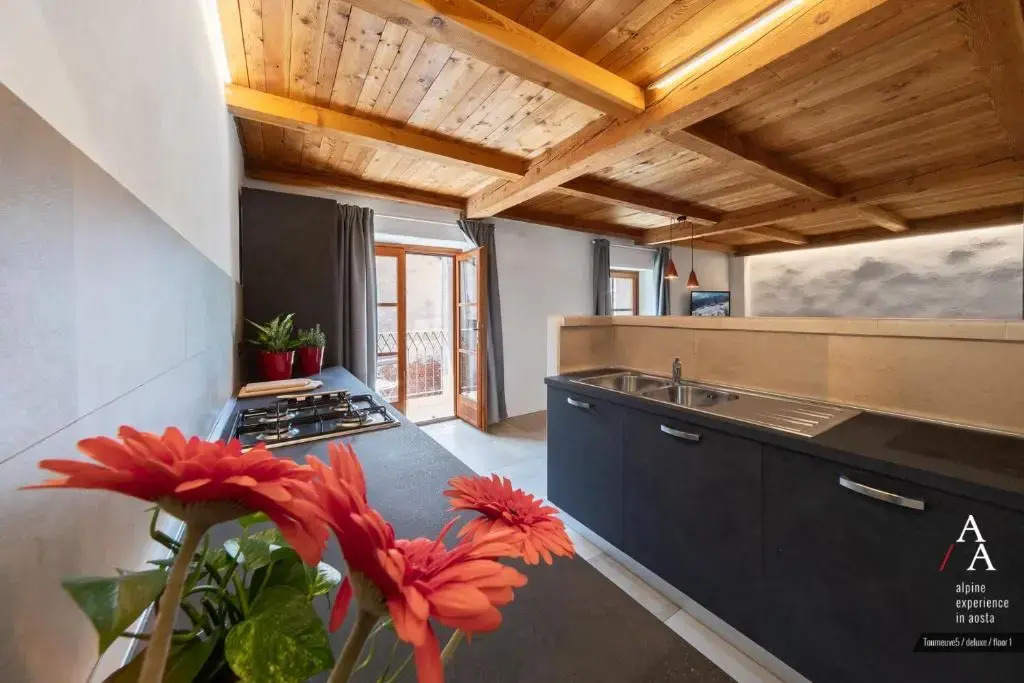 Alp Apartments - Tourneuve5