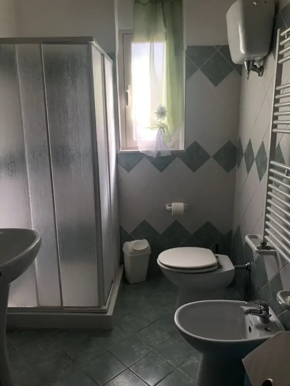 Central Apartment