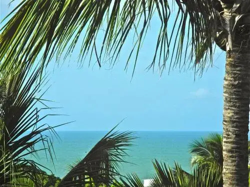 Beach Houses