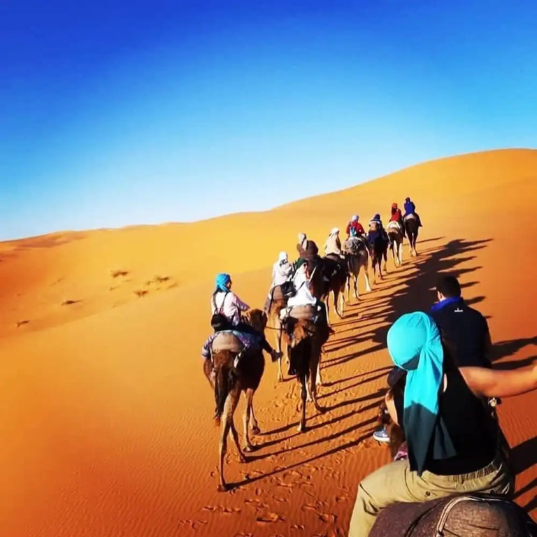 Trans Sahara